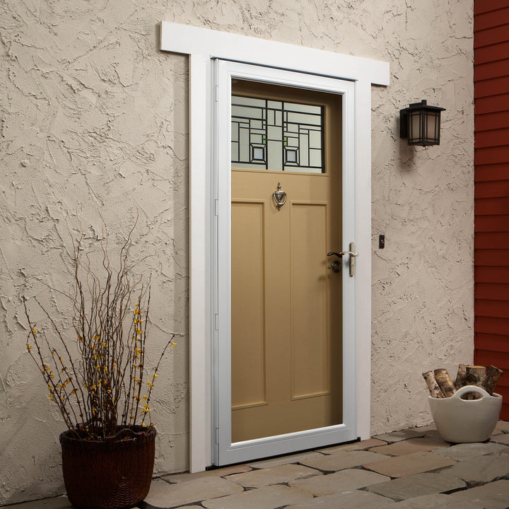 Standard Storm Doors (80